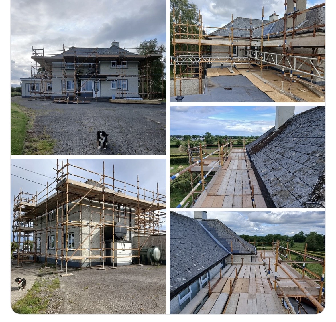 Recent project